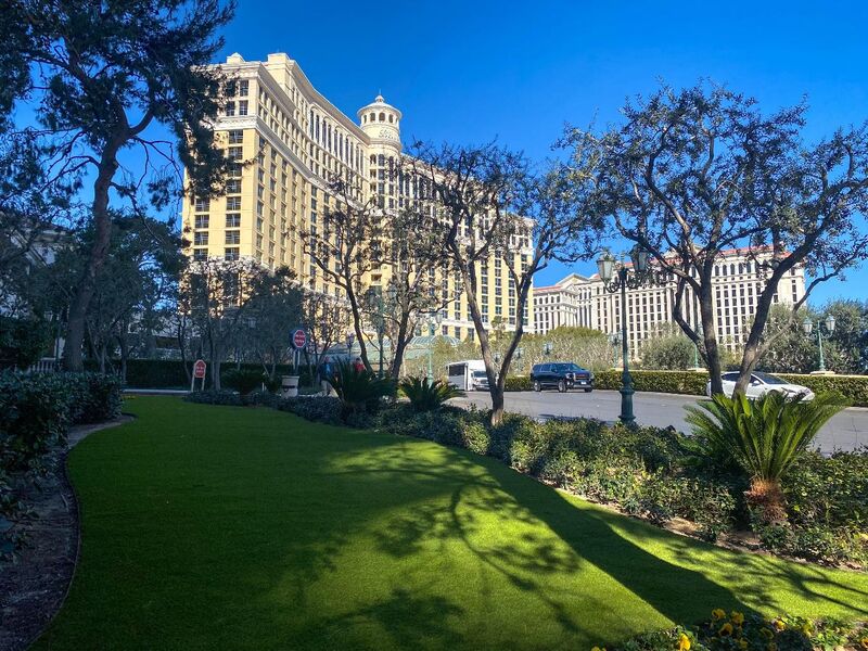 Umelý trávnik pre hotely a reštaurácie – komfort a elegancia na prvý pohľad