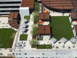 Umelý trávnik do kancelárie – 7 nápadov pre moderné pracovisko