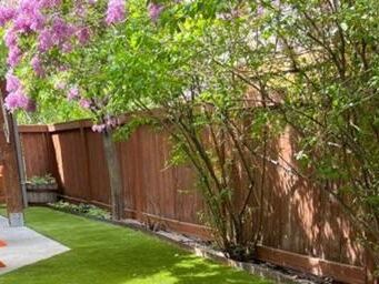 Je umelý trávnik škodlivý pre životné prostredie? Ako SYNLawn spája dizajn a biodiverzitu