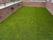 Je umelý trávnik škodlivý pre životné prostredie? Ako SYNLawn spája dizajn a biodiverzitu